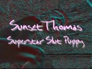 Bigass Sunset Thomas - Superstars of Porn sunset Thomas Scene 1 Dress - 1